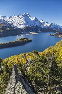 Lake Sils Prints: Lake Sils and Piz la Margna covered in snow from a rocky terrace above the Engadine woods near St