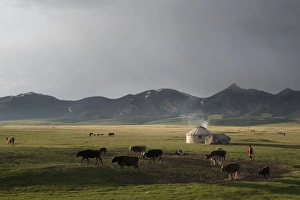 Yurt Prints: Lake Song-Kol, Kyrgyzstan, Central Asia