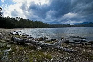 Images Dated 27th October 2008: Lake St. Claire, Tasmania, Australia, Pacific