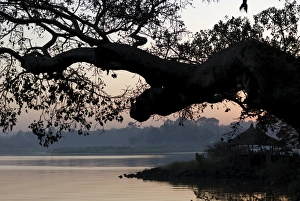 Lake Tana, Ethiopia, Africa