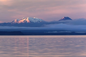 North Island Prints: Lake Taupo with Mount Ruapehu and Mount Ngauruhoe at dawn