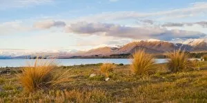 Images Dated 5th April 2011: Lake Tekapo at sunset, Southern Lakes, Canterbury Region, South Island, New Zealand, Pacific