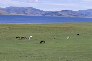Lake Terkhiin Tsagaan Nuur