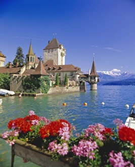 Swiss Prints: Lake Thun (Thunersee) and Oberhofen Castle