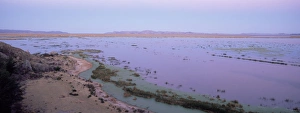 Smog Prints: Lake Titicaca