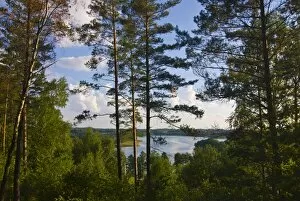 Lake behind trees at Aukstaitija National Park, Lithuania, Baltic States, Europe