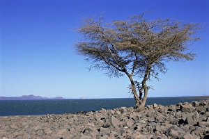 Lake Turkana