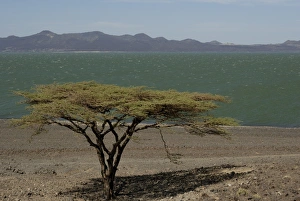 Lake Turkana