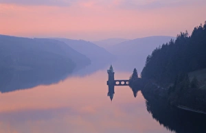 Forestry Prints: Lake Vernwy