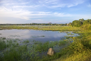 Elephant Rock Prints: Lake and view of Elephant Rock in late afternoon, Yala National Park, Sri Lanka, Asia