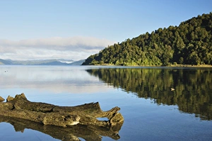 Lake Waikaremoana, Te Urewera National Park, Bay of Plenty, North Island