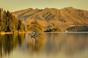 Australasia Prints: Lake Wanaka at sunrise, Mount-Aspiring National Park, UNESCO World Heritage Site, Otago