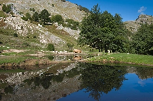 Live Stock Prints: Lakes of Bozzone, Matanna Mountain (Monte Matanna)