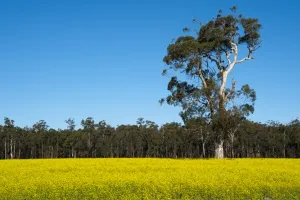Images Dated 28th July 2009: Lakes Entrance, Victoria, Australia, Pacific
