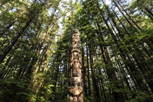 Lakich inei Pole, Tlingit totem pole, lit by sun in rainforest, Sitka National Historic Park