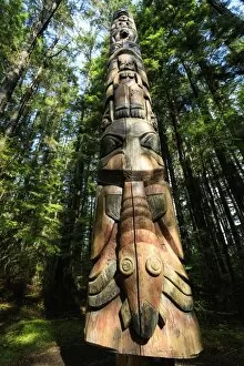 Top Section Gallery: Lakich inei Pole, Tlingit totem pole, lit by sun in rainforest, Sitka National Historic Park