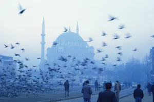 Turkish Prints: Laleli Mosque