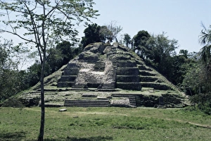 Lamanai Prints: Lamanai, Belize, Central America