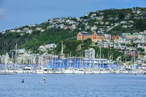 North Island Prints: Lambton harbour, Wellington, North Island, New Zealand, Pacific