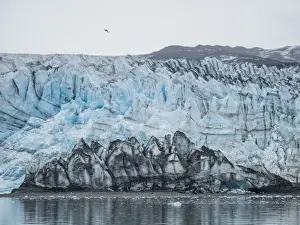 Rippled Prints: Lamplugh Glacier, a tidewater glacier in Glacier Bay National Park and Preserve, Southeast
