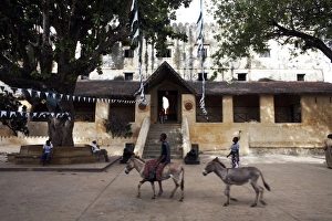 Images Dated 27th December 2008: Lamu Fort, Lamu, Kenya, East Africa, Africa