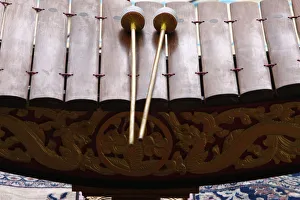Images Dated 21st June 2009: Lanad, Lao xylophone, Paris, France, Europe