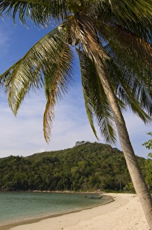 Images Dated 18th January 2000: Lanah bay, Phi Phi Don Island