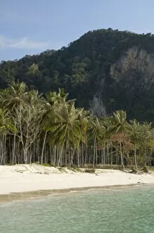 Images Dated 20th January 2000: Lanah bay, Phi Phi Don Island