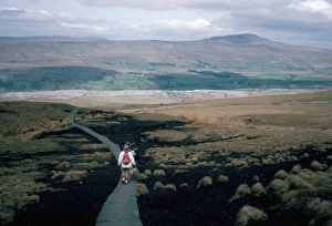 Board Walk Prints: Land boardwalk laid to prevent path erosion, Yorkshire Dales, England, United Kingdom