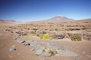 Bolivian Prints: Landscape of Altiplano, Potosi Department, Bolivia, South America