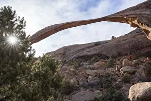 Landscape Arch with sunburst through tree, Arches National Park, Utah