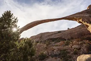 Landscape Arch with sunburst through tree, Arches National Park, Utah