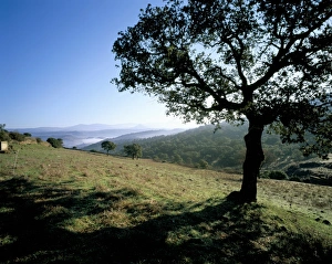 Barbagia Prints: Landscape, Barbagia