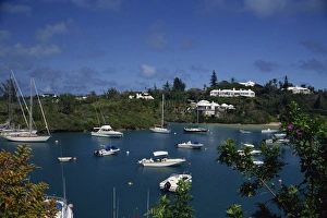 Hamilton Prints: Landscape of boats in Trotts Pond, Hamilton, Bermuda, Atlantic, Central America