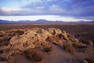 La Paz Prints: Landscape, Bolivian Altiplano, Bolivia, South America