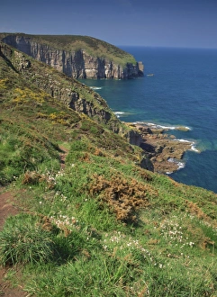Cap Frehel Prints: Landscape of cliffs along the coastline at Cap Frehel, Cote d Emeraude