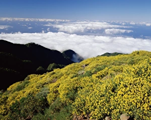Canary Island Prints: Landscape and clouds near Roque de los Muchachos