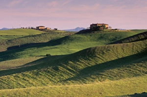 Asciano Prints: Landscape of the Crete Senesi area
