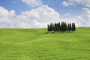 Landscape with cypress trees near San Quirico, Val d Orcia, UNESCO World Heritage Site, Tuscany, Italy, Europe