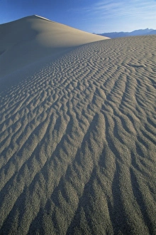 Border Prints: Landscape, Death Valley National Park