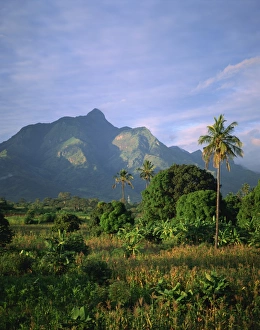 Landscape at dusk, Tanzania, East Africa, Africa