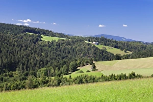 Black Forest Prints: Landscape with farmhouse, near Schonwald, Black Forest, Baden Wurttemberg, Germany