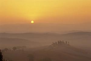 Landscape of fields and cypress trees at sunset in