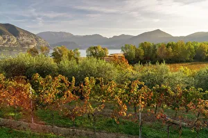 Brescia Province Prints: Landscape of Franciacorta region in Brescia province, Lombardy, Italy, Europe
