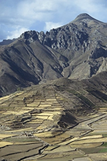 Colca Canyon Prints: Landscape including Inca terraces in the Colca Canyon