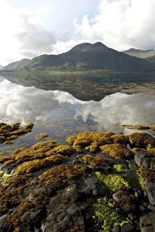 Landscape on the Isle of Mull, Inner Hebrides, Scotland, United Kingdom, Europe