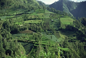 Mount Bromo Prints: Landscape in Mount Bromo region, Java, Indonesia, Southeast Asia, Asia