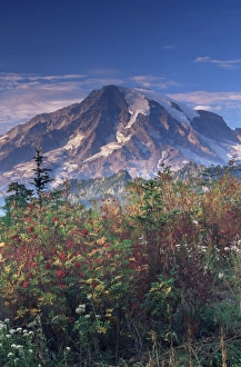 Landscape, Mount Rainier National Park