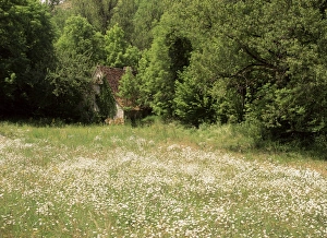 Cahors Prints: Landscape near Cahors, Lot, Midi Pyrenees, France, Europe