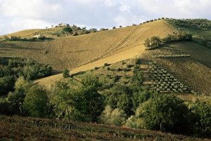Landscape near Chieti